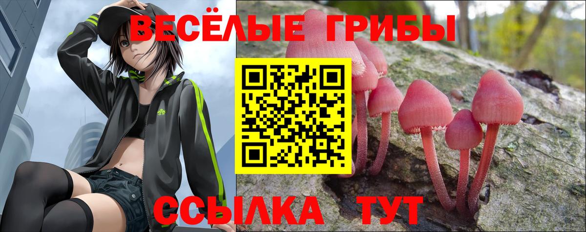 Бийск  Псилоцибиновые грибы ЛСД  Вход с VPN 